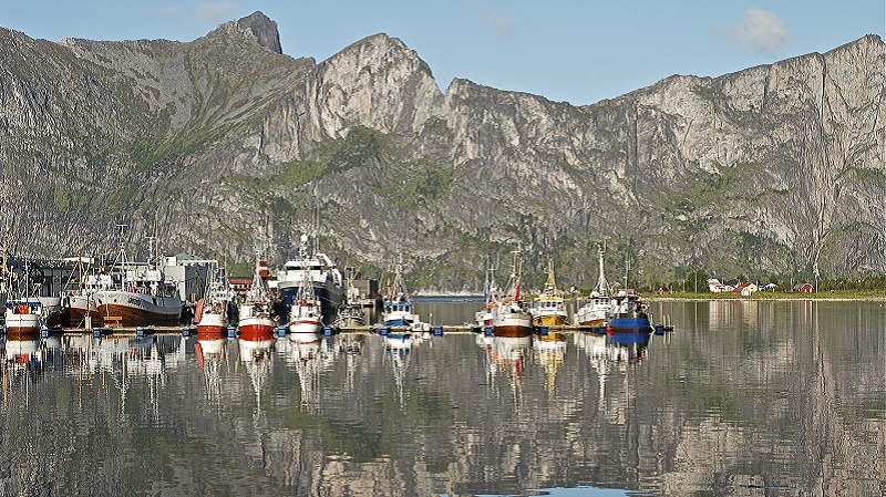 Senja  Bvr - hjemreise